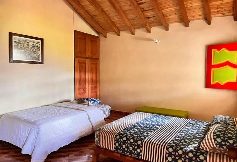 ペンション Residencia Artistica Y Hostal Los Colores