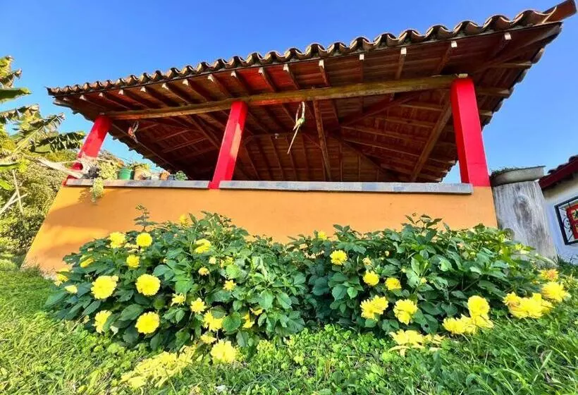 ペンション Residencia Artistica Y Hostal Los Colores