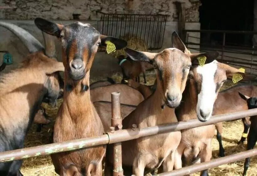 Aamiaismajoitus (B&B) Ferme De La Vallière