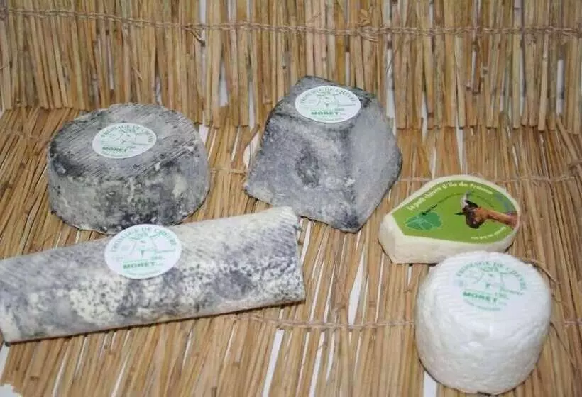 Aamiaismajoitus (B&B) Ferme De La Vallière