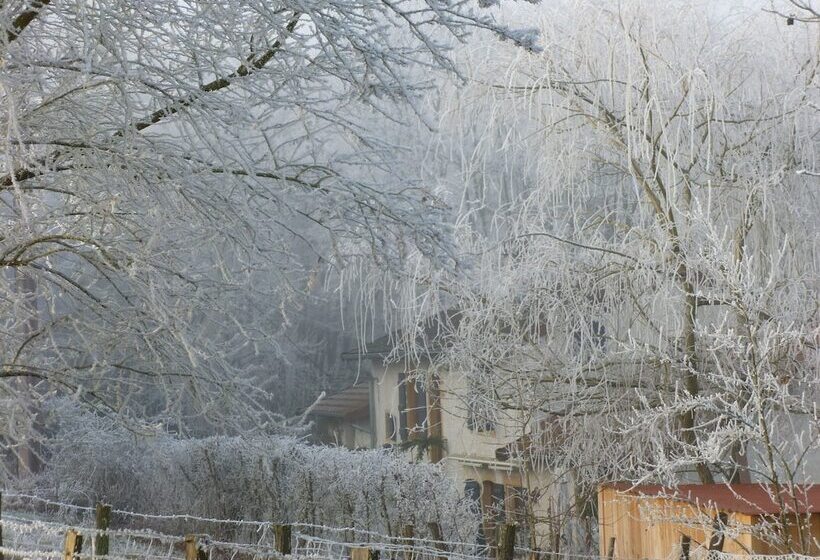 مبيت وإفطار La Bergerie Du Bois Joannin 1497 Route Des Fleuriats