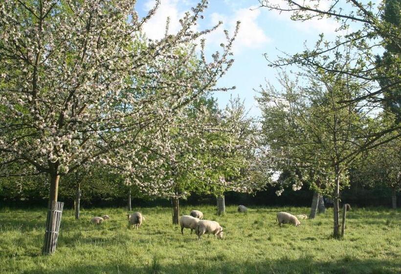 צימר Le Petit Manoir De La Vernelle