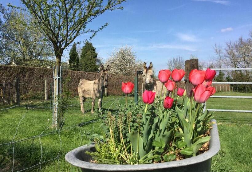 צימר Le Petit Manoir De La Vernelle