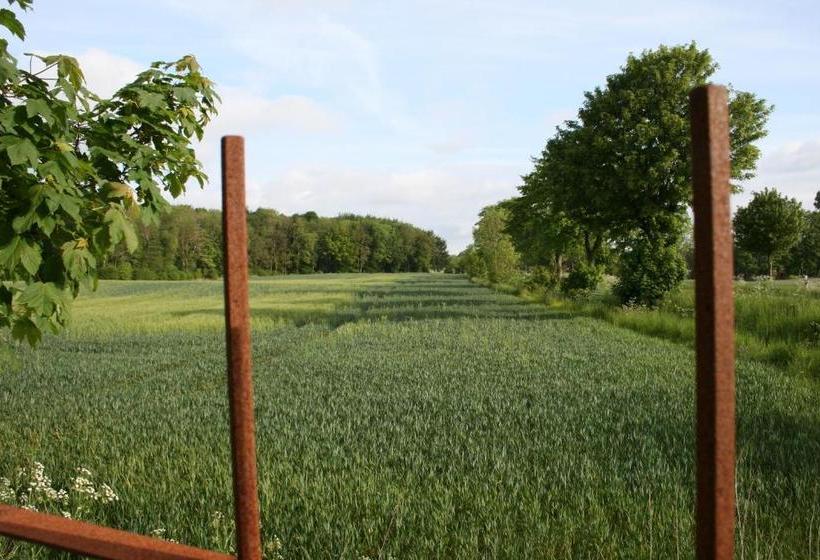 Отель Alte Landschule