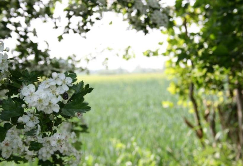 Отель Alte Landschule