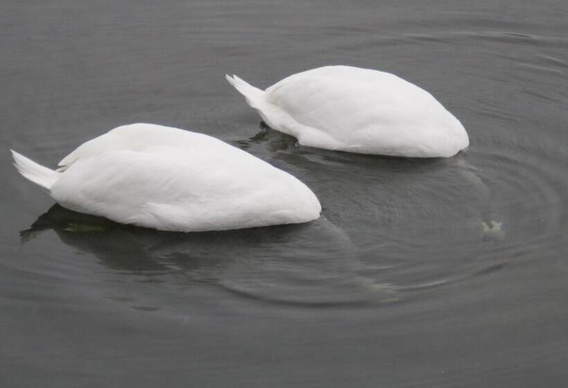 Отель Alte Landschule