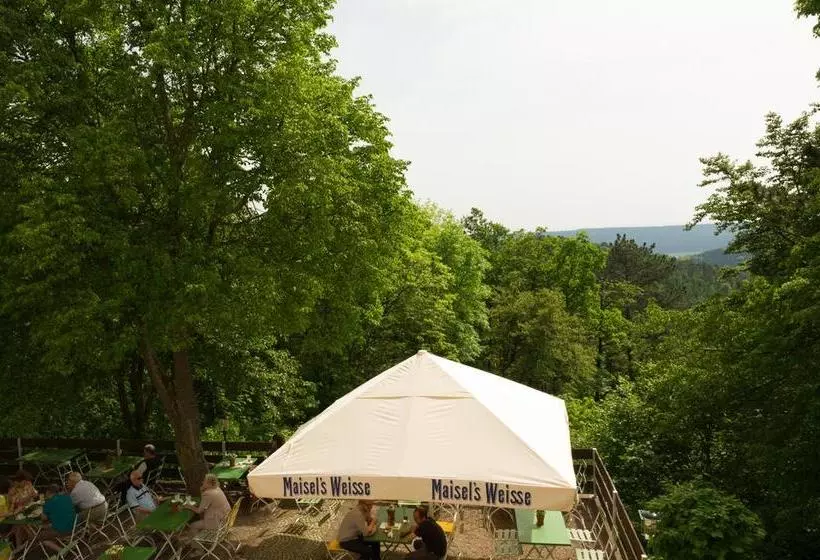 ホテル Stiefelburg Der Berghof