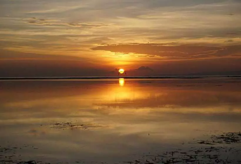 Praschita Bali