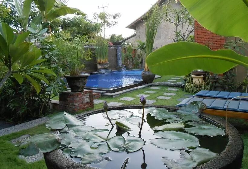 Praschita Bali
