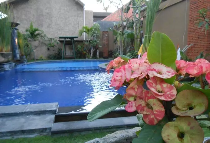 Praschita Bali