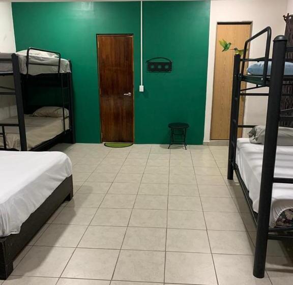 فندق صغير Verde Amanecer