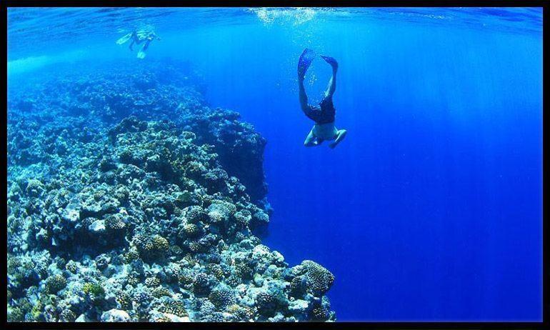 تختخواب و صبحانه Patagonia Home