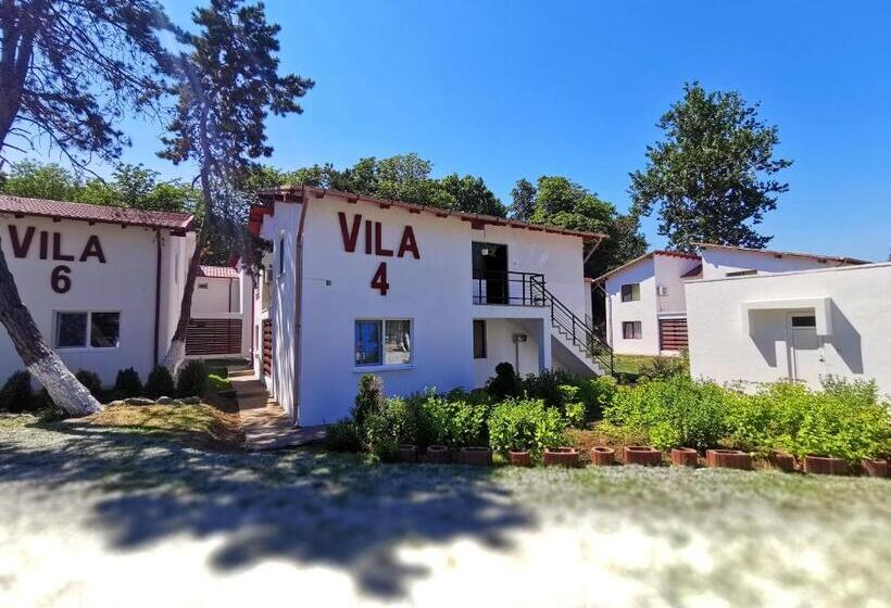 Пансион Apartamente Liliacul