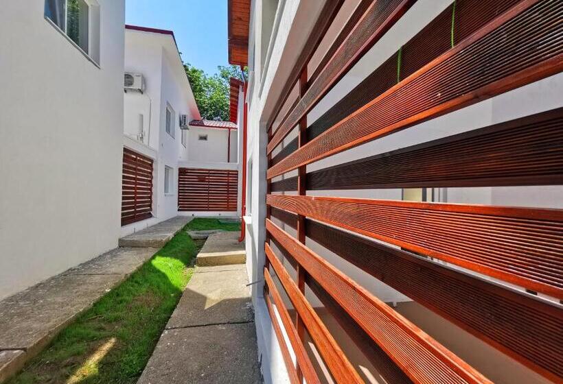 Пансион Apartamente Liliacul