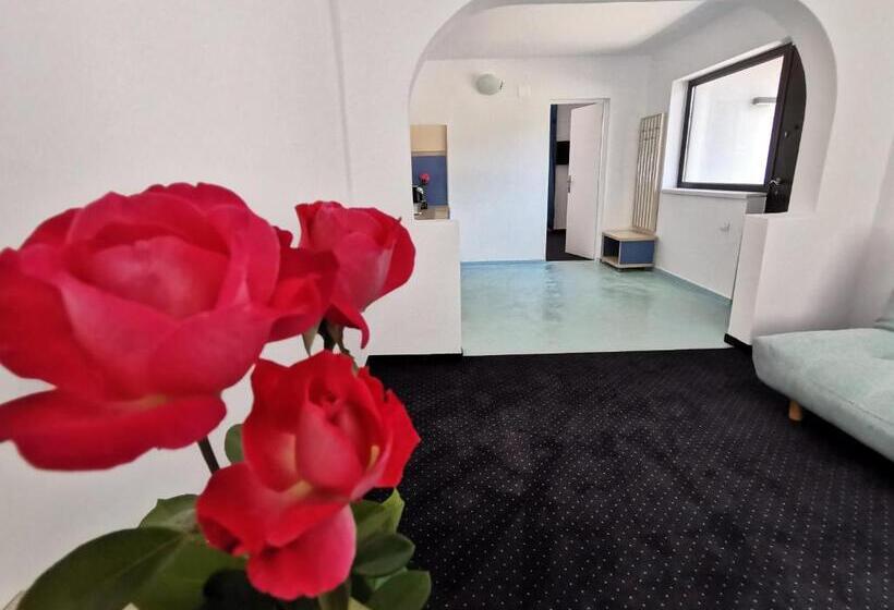 Пансион Apartamente Liliacul