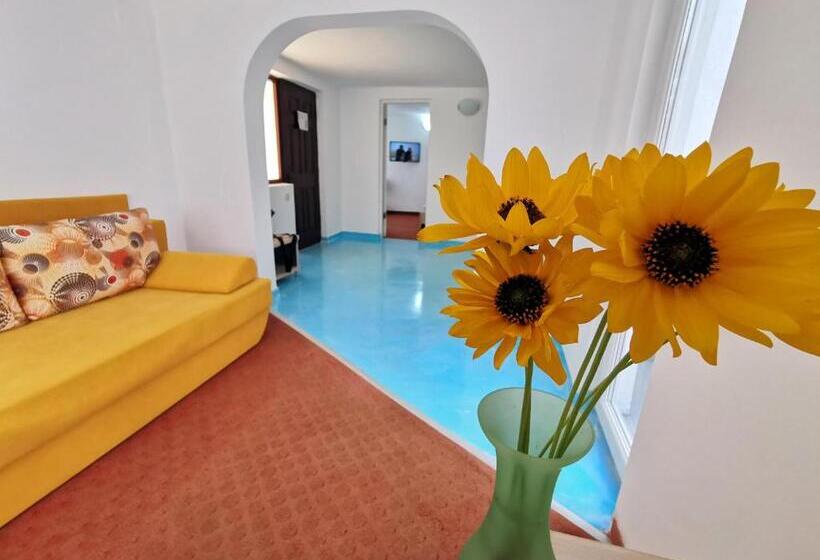 Пансион Apartamente Liliacul