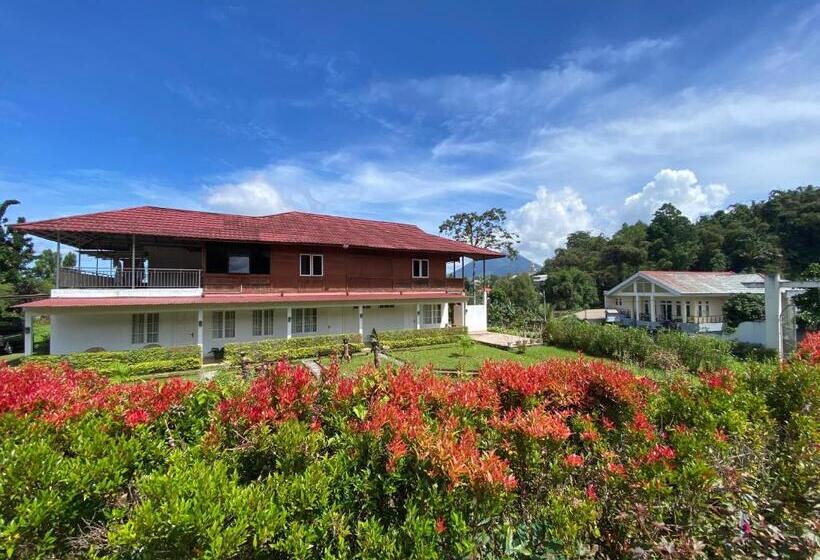 Пансион Super Wonderful 5 Bedrooms With Bathroom Villa Marion Tomohon