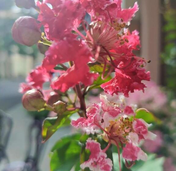 Sea Sunset Hotel Phu Quoc   Welcome To A Mixing World Of Friends