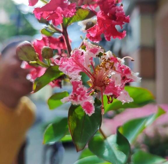 Sea Sunset Hotel Phu Quoc   Welcome To A Mixing World Of Friends