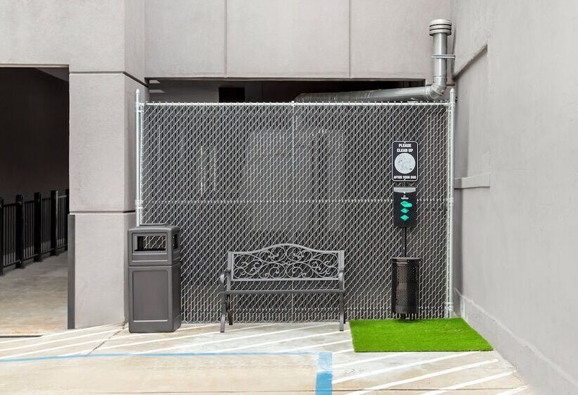 酒店 Red Roof Inn Plus Jamaica, Ny   Jfk Airport