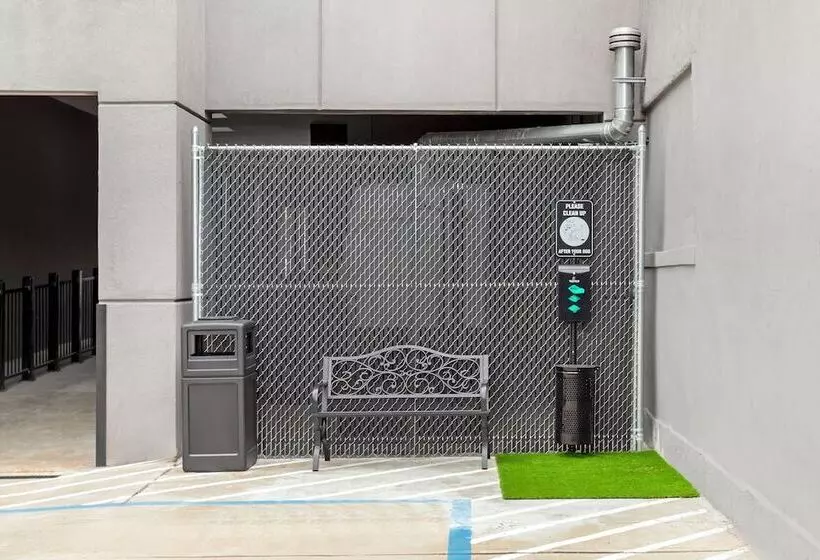 Hotelli Red Roof Inn Plus Jamaica, Ny   Jfk Airport