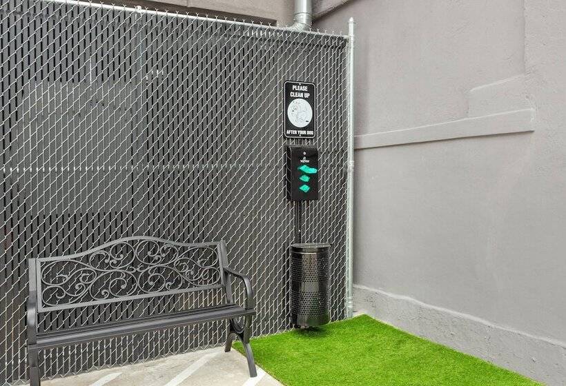 酒店 Red Roof Inn Plus Jamaica, Ny   Jfk Airport