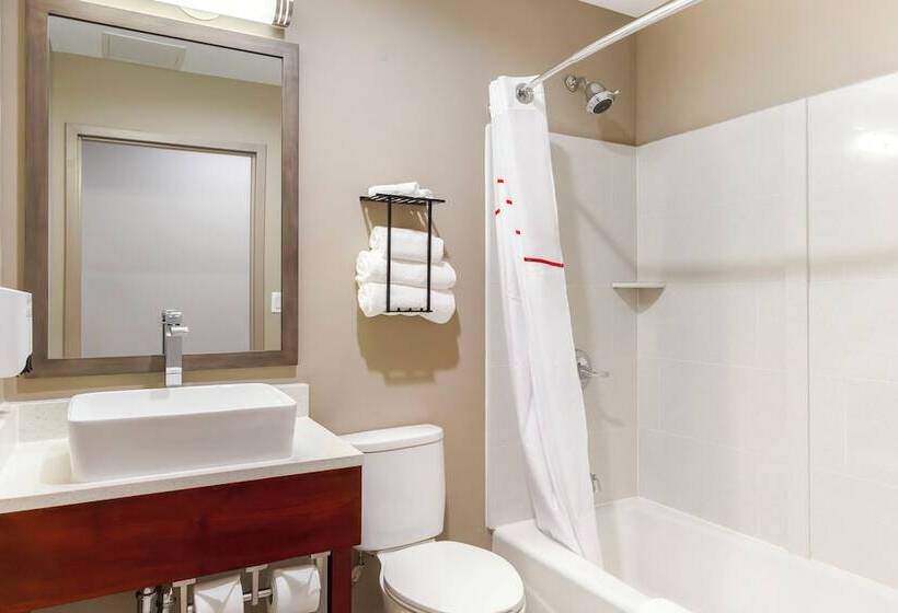 酒店 Red Roof Inn Plus Jamaica, Ny   Jfk Airport