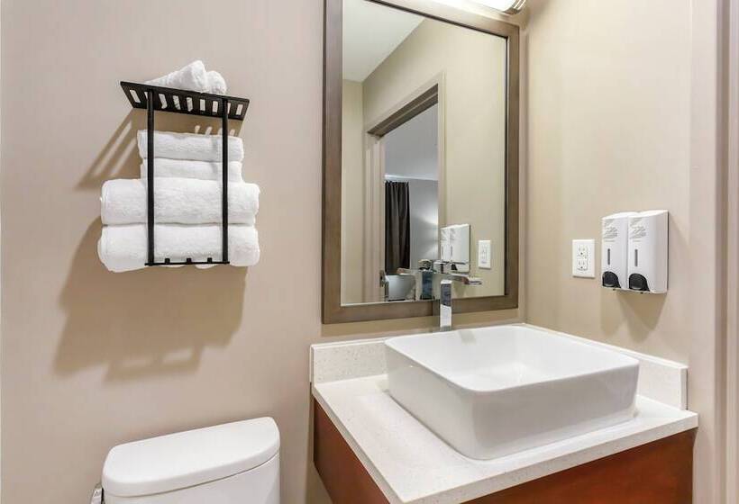 酒店 Red Roof Inn Plus Jamaica, Ny   Jfk Airport