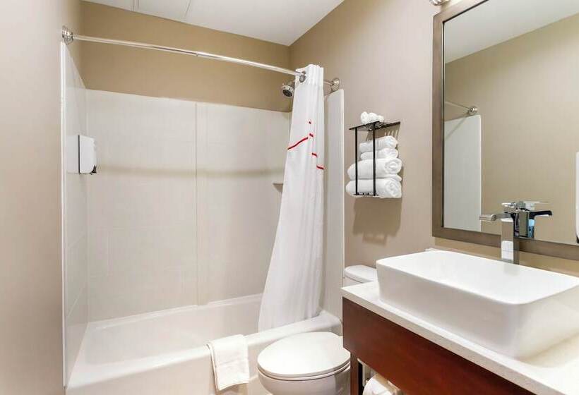 酒店 Red Roof Inn Plus Jamaica, Ny   Jfk Airport