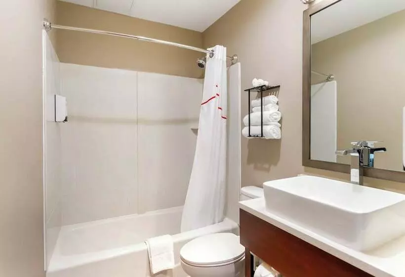 Hotelli Red Roof Inn Plus Jamaica, Ny   Jfk Airport