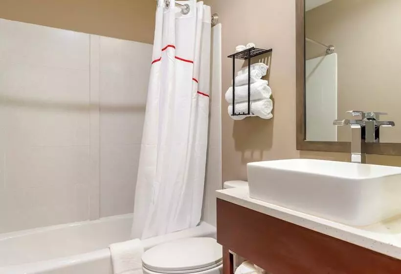 Hotelli Red Roof Inn Plus Jamaica, Ny   Jfk Airport