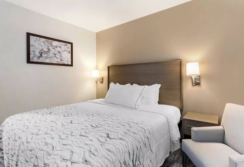 Hotelli Red Roof Inn Plus Jamaica, Ny   Jfk Airport