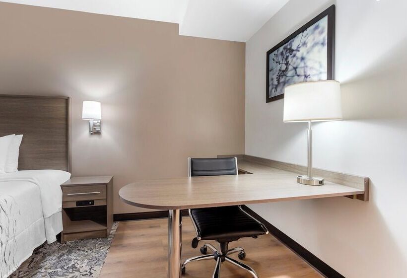 酒店 Red Roof Inn Plus Jamaica, Ny   Jfk Airport