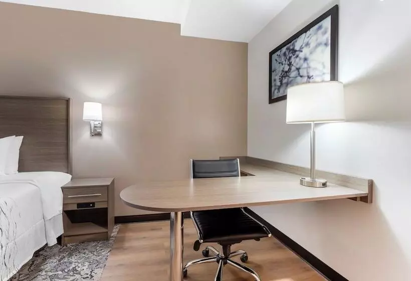 Hotelli Red Roof Inn Plus Jamaica, Ny   Jfk Airport