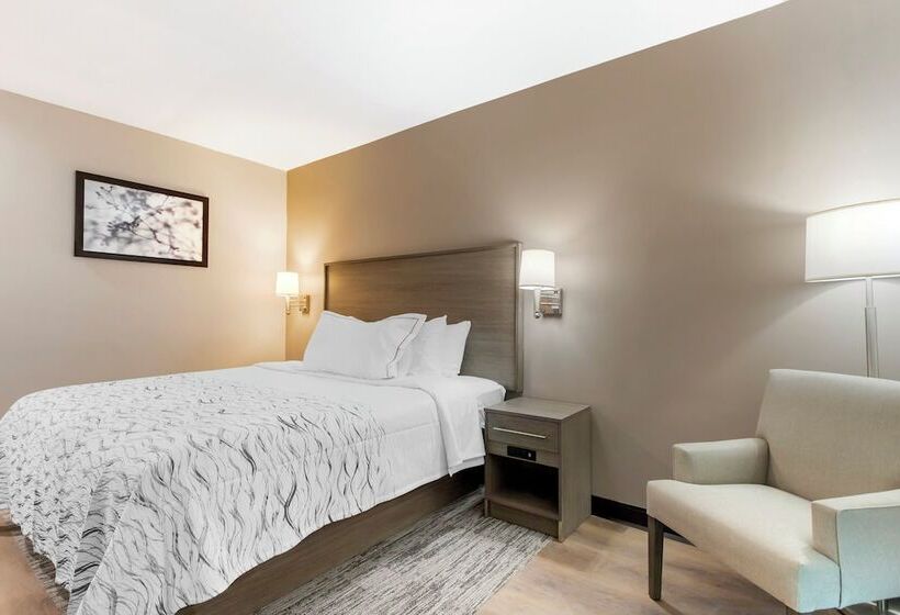 酒店 Red Roof Inn Plus Jamaica, Ny   Jfk Airport