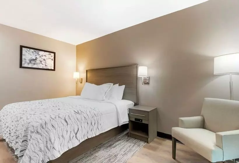 Hotelli Red Roof Inn Plus Jamaica, Ny   Jfk Airport