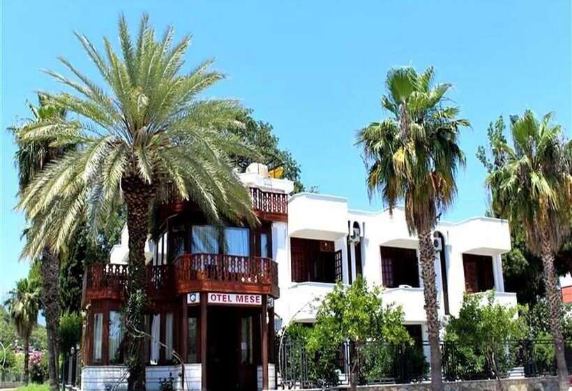 酒店 Mese