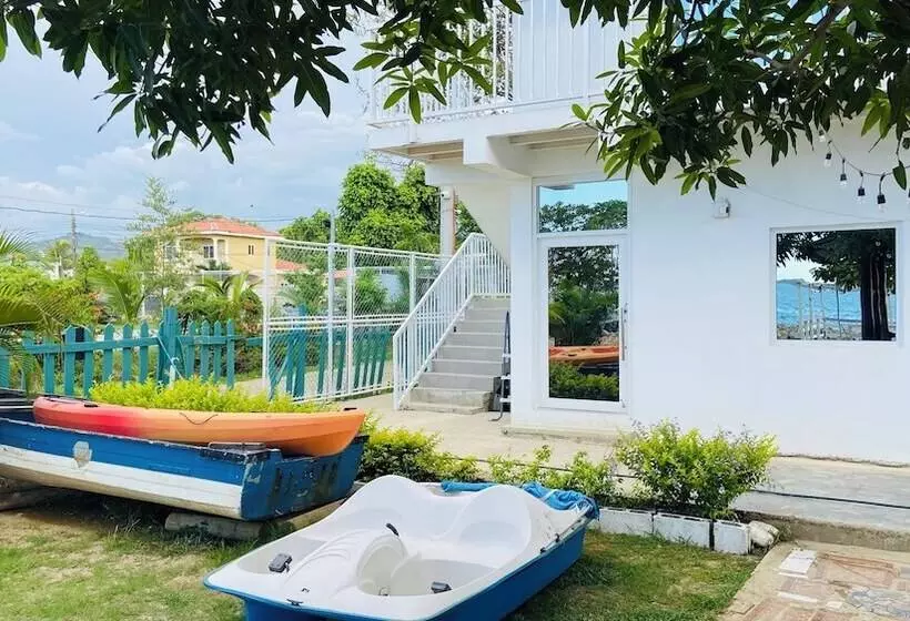 تختخواب و صبحانه Velomares Del Caribe