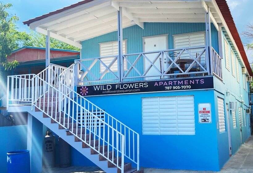 هتل Wild Flowers Boquerón Apartments
