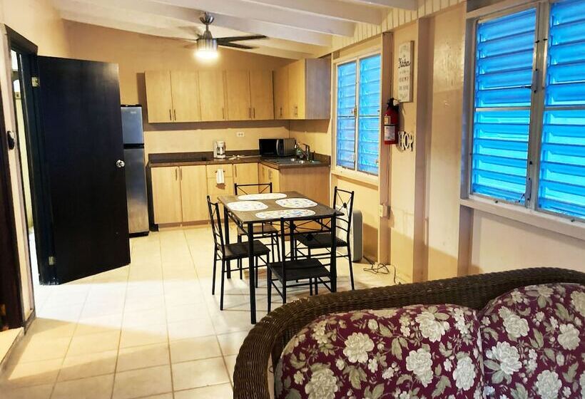 هتل Wild Flowers Boquerón Apartments