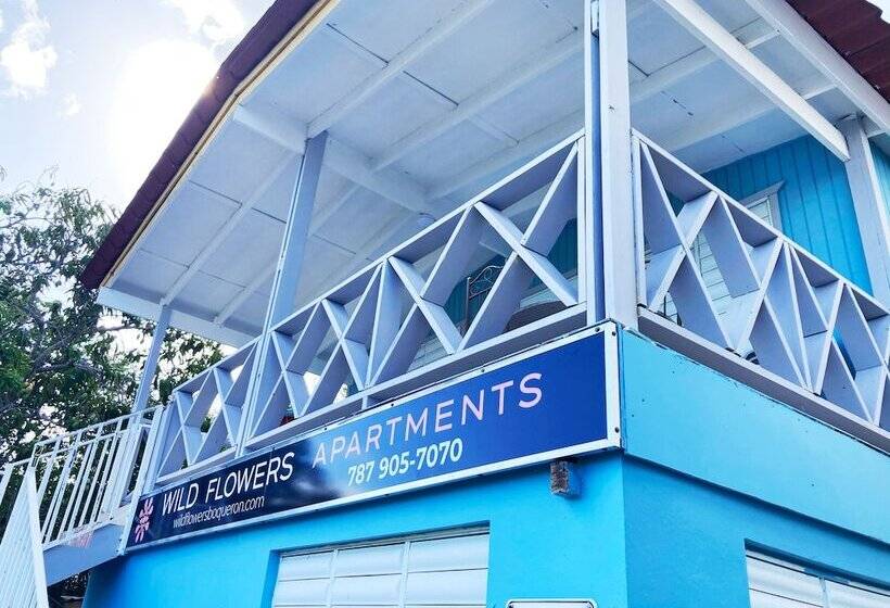 هتل Wild Flowers Boquerón Apartments