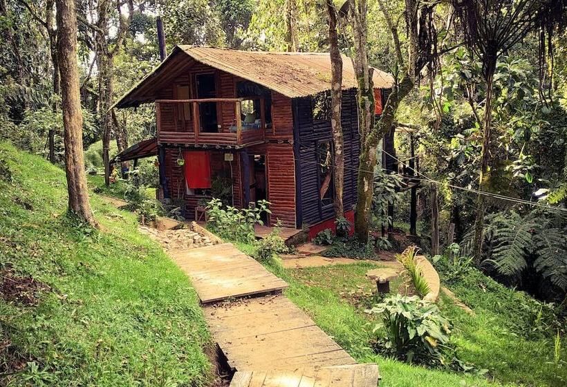 پانسیون La Cabaña Musical