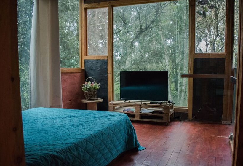 پانسیون La Cabaña Musical