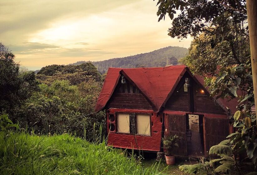 پانسیون La Cabaña Musical