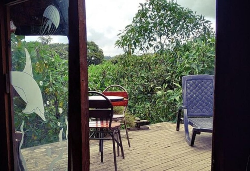 پانسیون La Cabaña Musical