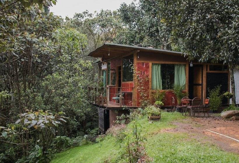 پانسیون La Cabaña Musical