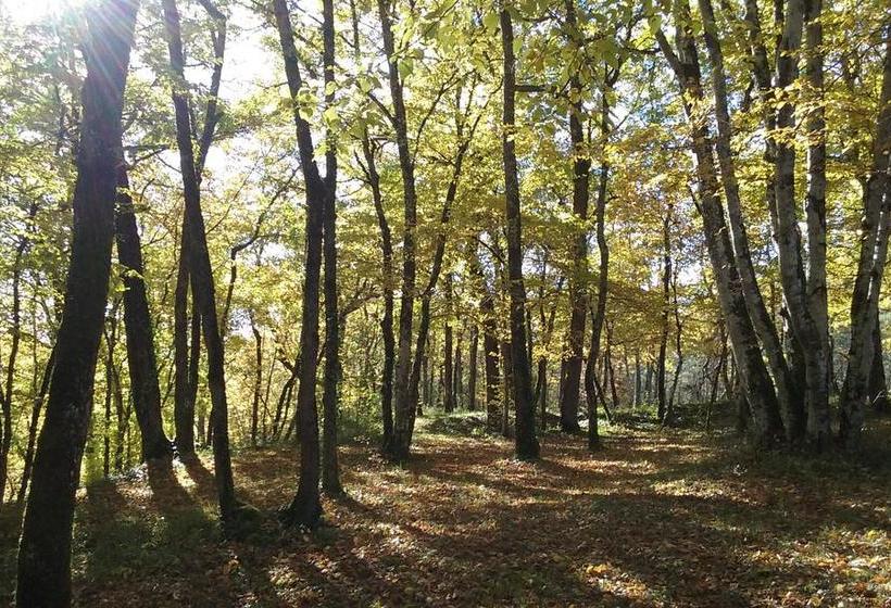 مبيت وإفطار Chambres D'hôtes Du Clos De La Dame