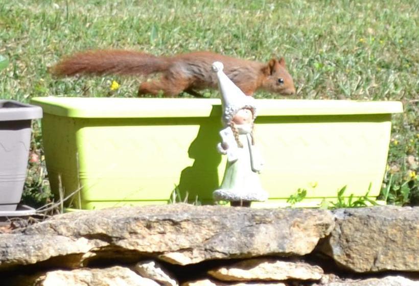 مبيت وإفطار Chambres D'hôtes Du Clos De La Dame