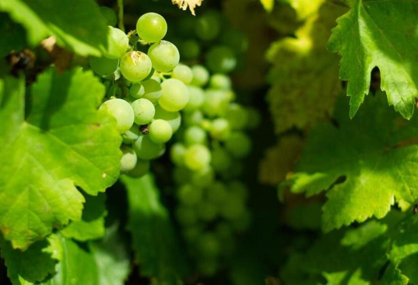 مبيت وإفطار Manoir De L'echauguette