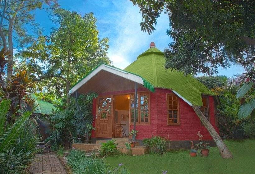 Bed and Breakfast Safariland Cottages